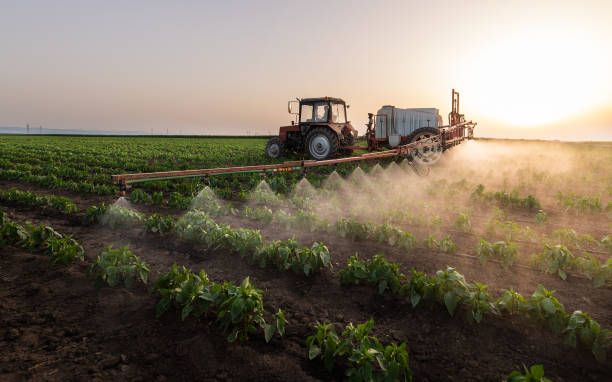 Best Pest Prevention Services  in Daleville, VA