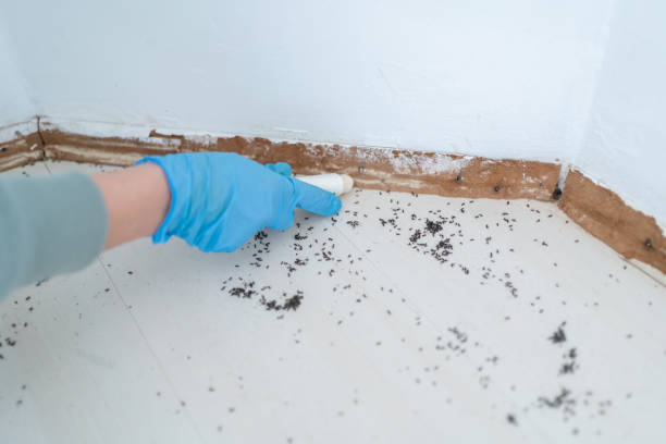 Best Commercial Pest Control Services  in Daleville, VA