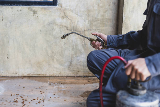Best Pest Control Near Me  in Daleville, VA